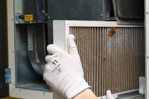 Best Air Duct Cleaning Near Me  in Harbor Beach, MI