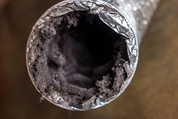 Ductwork Cleaning Services in Harbor Beach, MI