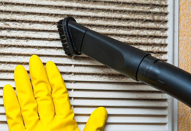 Best Best Air Duct Cleaning Company  in Harbor Beach, MI